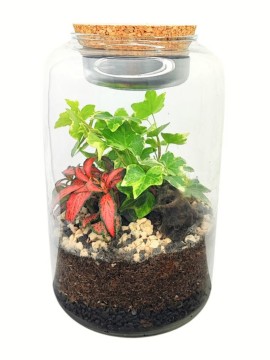 TERRARIUM 000 CON LAMPADA LED  D. 12 H.22 CM  